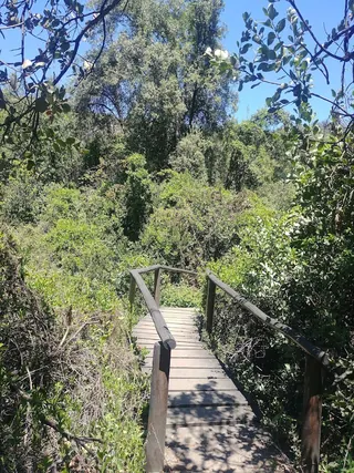 Arboretum image 5