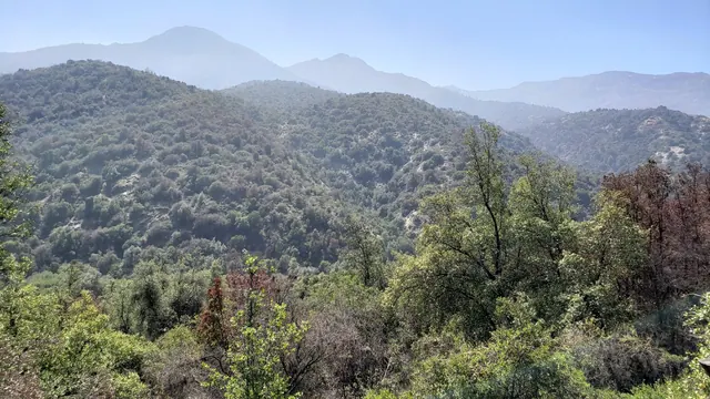 Arboretum, Pirque, Santiago