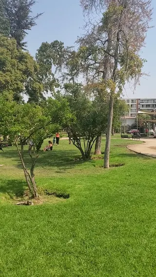 Augusto Errázuriz Park image 2