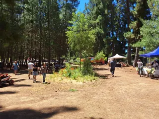 Bienestar Pitama image 5