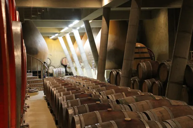 Bodegas RE, Casablanca Valley, Santiago
