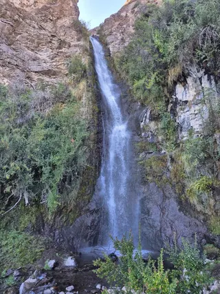 Bulnes Correa Natural Park image 4