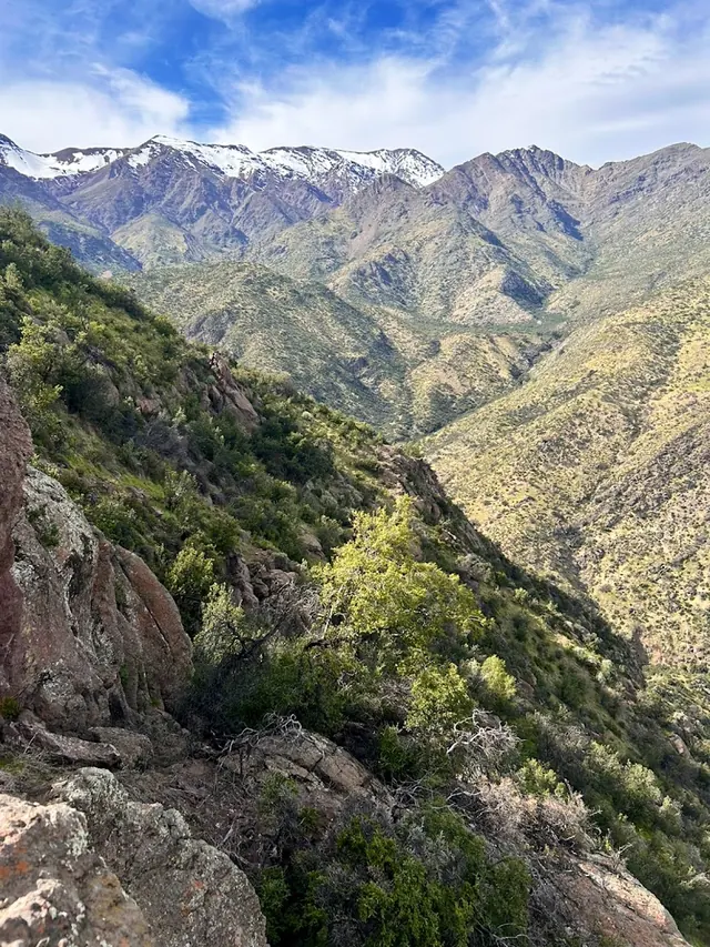 Bulnes Correa Natural Park, Las Condes, Santiago