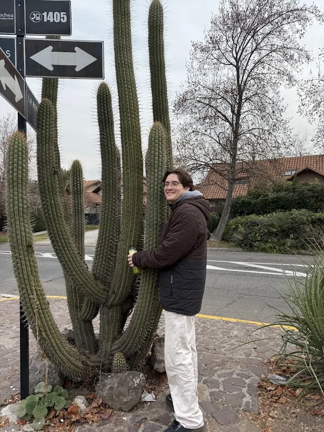 Cactus Padre, Lo Barnechea, Santiago