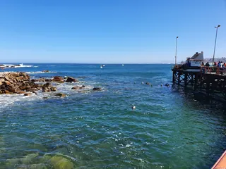 Caleta el Quisco image 5