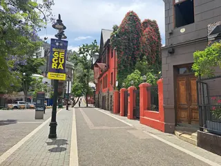 Camilo Mori Square image 3