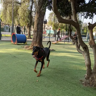 Canino Park image 1