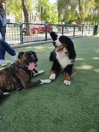 Canino Park image 3
