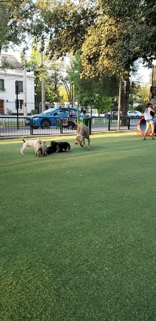 Canino Park image 4