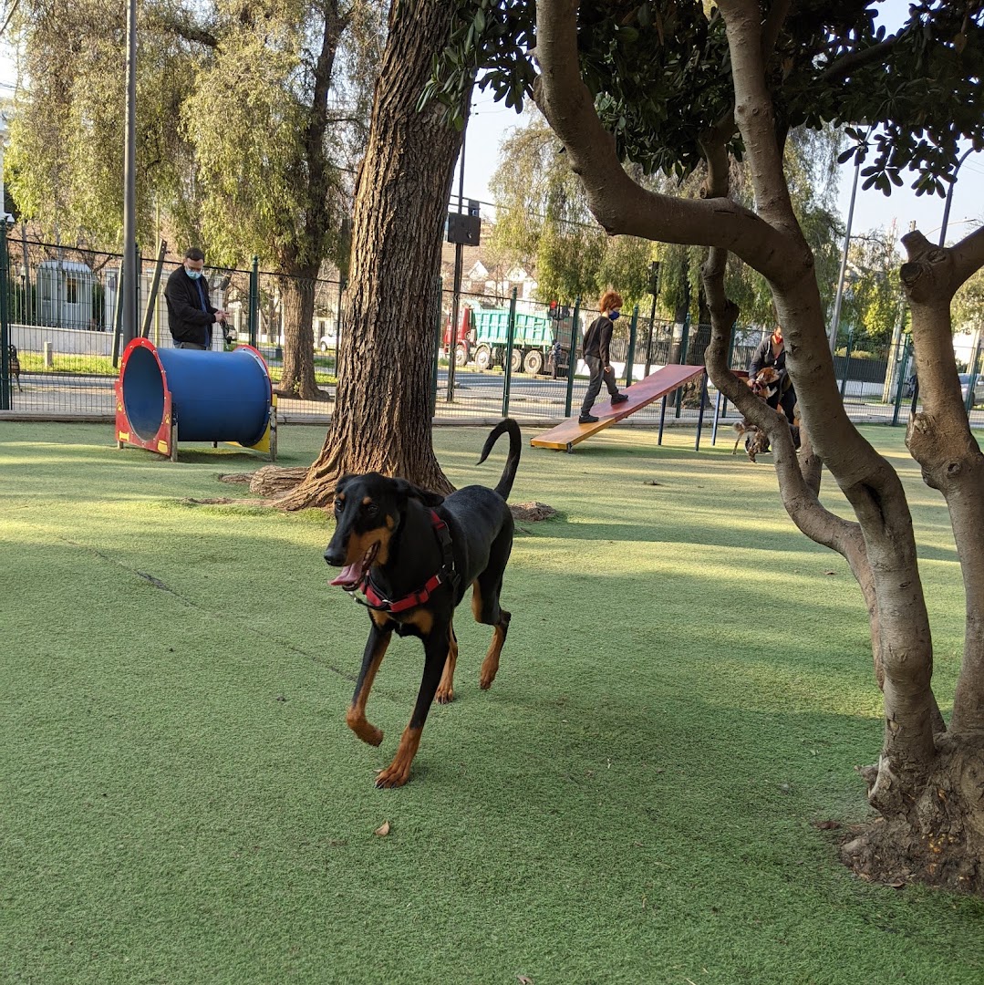 Parks