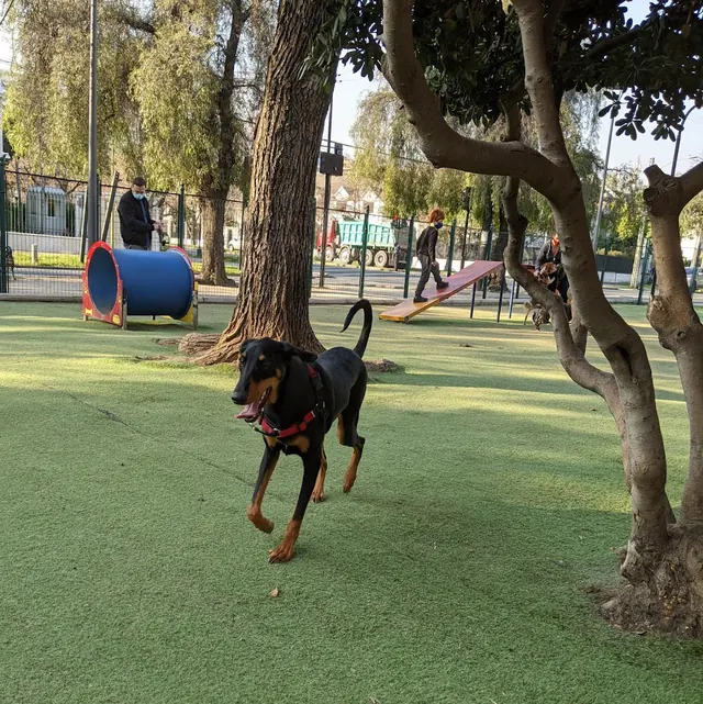 Canino Park, El Golf, Santiago