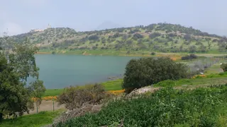 Cerro Huinganal image 4