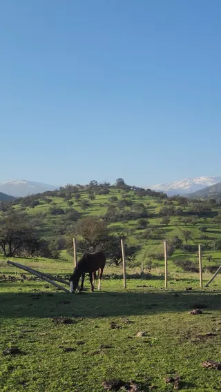 Cerro Loma Larga image 2