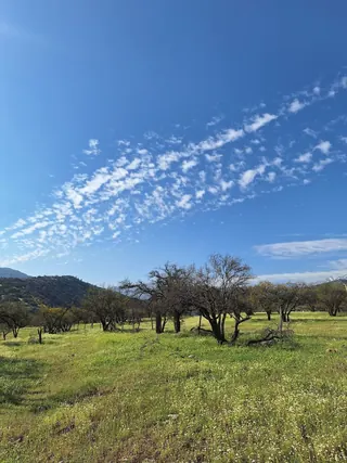 Cerro Loma Larga image 3
