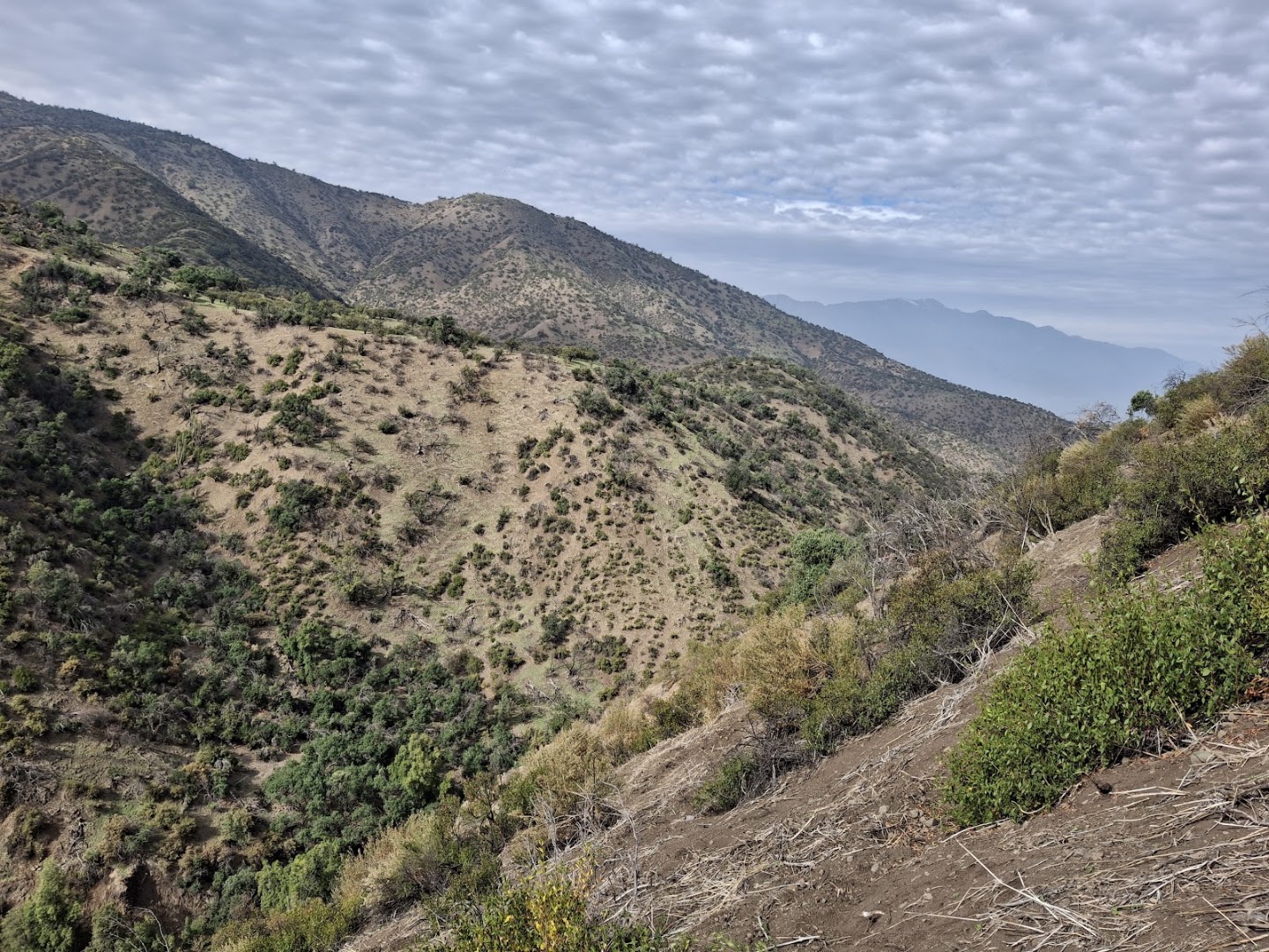 Cerro Loma Larga