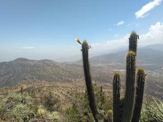 Cerro Manquehue image 5