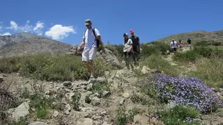 Chile Off Track image 3