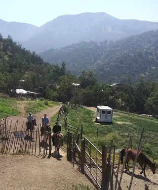 Chile Off Track image 5
