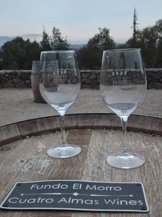 Cuatro Almas Wines image 1