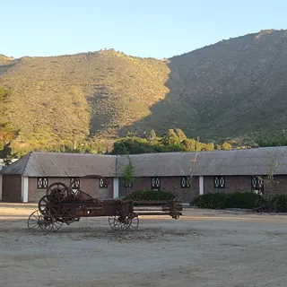 Cuatro Almas Wines image 4
