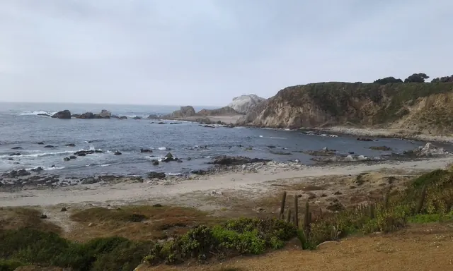 El Canelo and El Canelillo Municipal Park, Algarrobo, Santiago