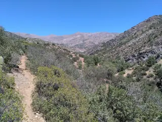 El Toyo Rio image 5