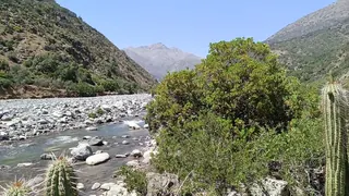 Estero Coyanco image 2