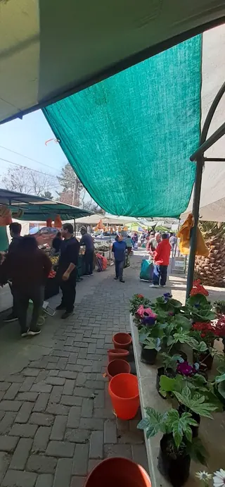 Feria Libre Quinchamali image 4