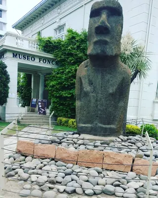 Fonck Museum image 4
