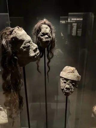 Fonck Museum image 5