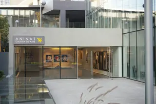 Gallery Isabel Aninat image 4