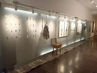 Gallery Isabel Aninat image 5
