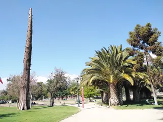 Gandarillas Park image 1