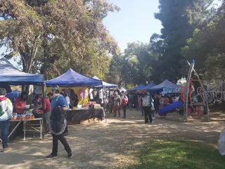 Gómez Rojas Park image 1