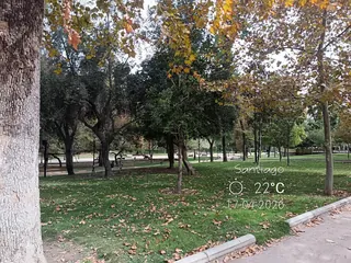 Gómez Rojas Park image 4