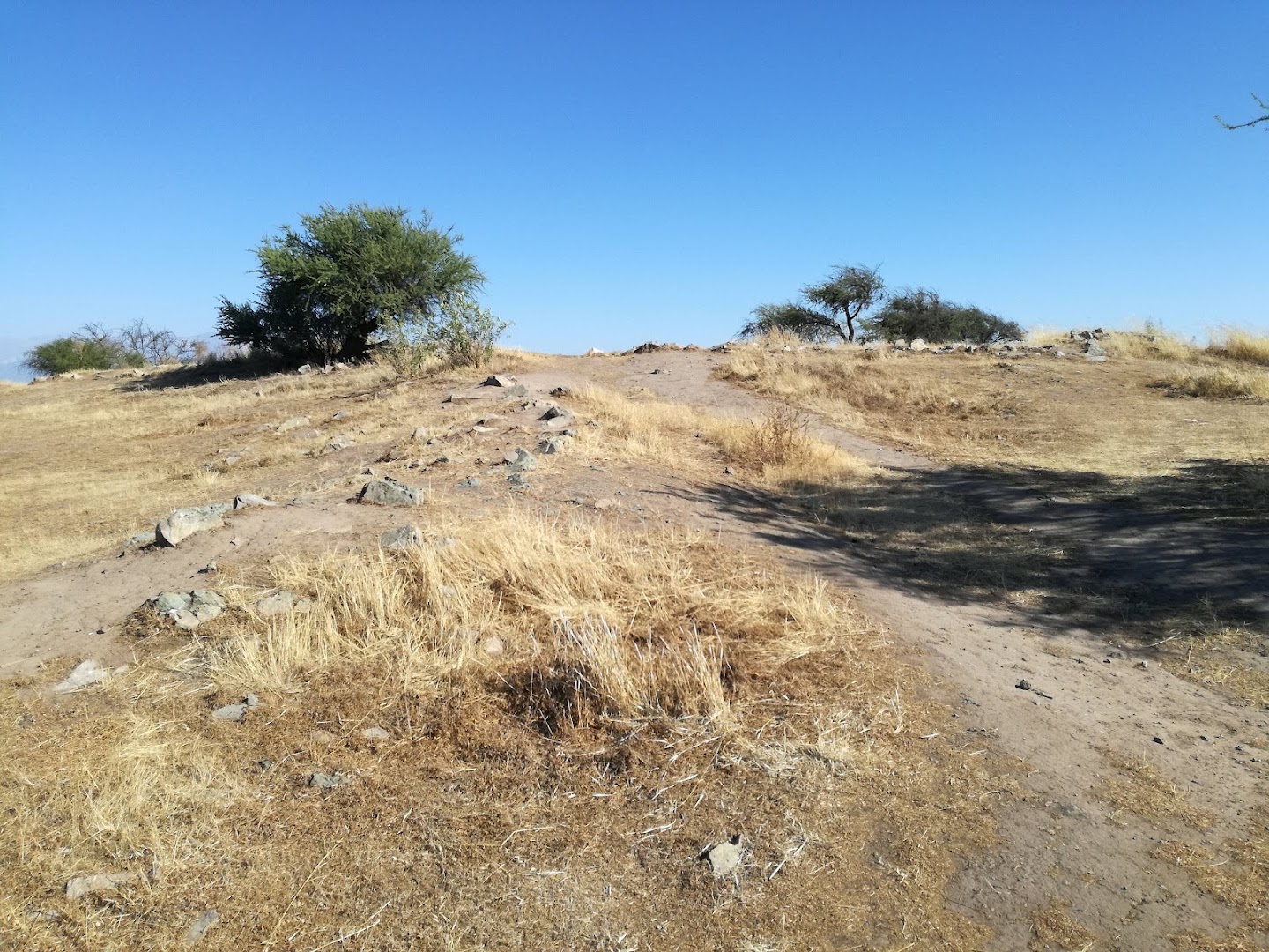 Huaca de Chena