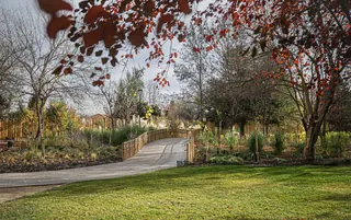 Huinganal Park image 1