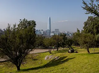 Jardín Mapulemu image 3