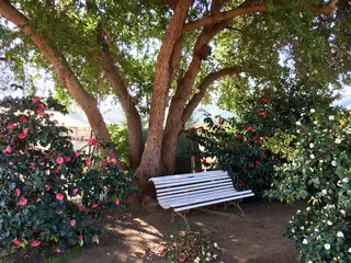 Jardín Suizo image 3