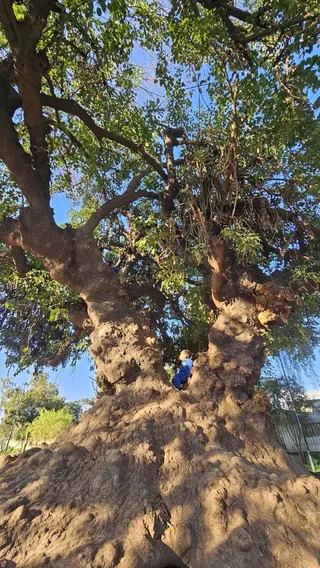 Juan XXIII Park image 5