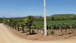 Kingston Family Vineyards image 2
