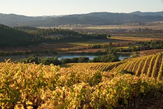Kingston Family Vineyards image 4