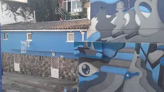 La Chascona image 2