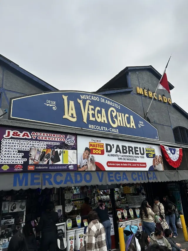 La Vega Chica, Recoleta, Santiago