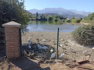 Laguna de Lo Barnechea image 3
