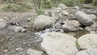 Las Hualtatas Natural Park image 2