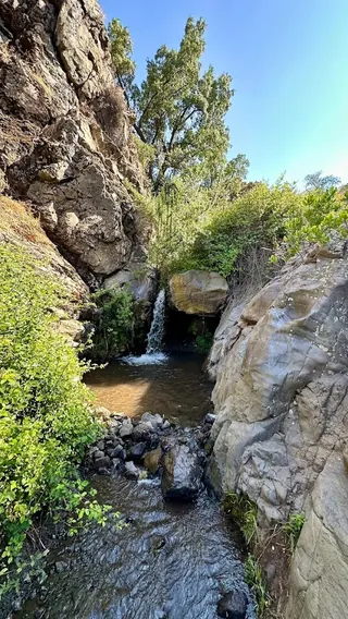 Las Hualtatas Natural Park image 3