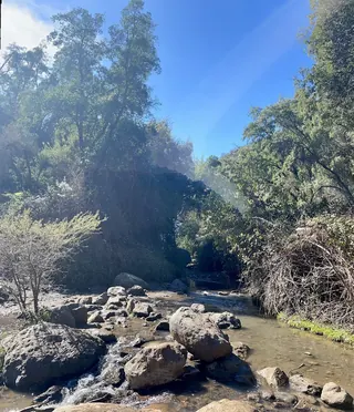 Las Hualtatas Natural Park image 5