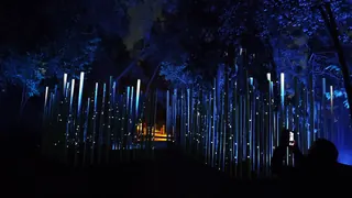 Light Cycles image 2