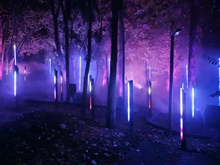 Light Cycles image 3